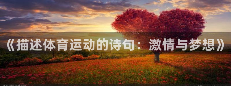 三亿体育网