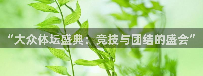 三亿体育