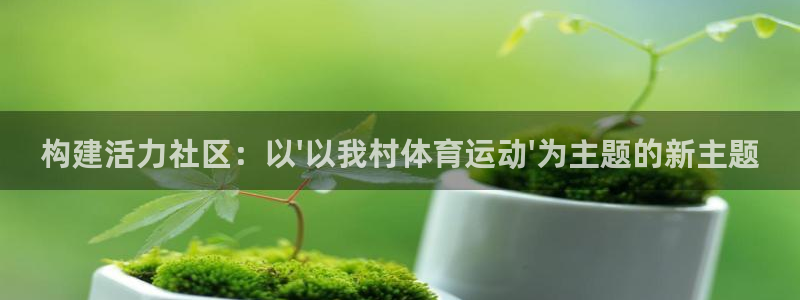 三亿体育：构建活力社区：以\'以我村体育运动\'为主题的新主题