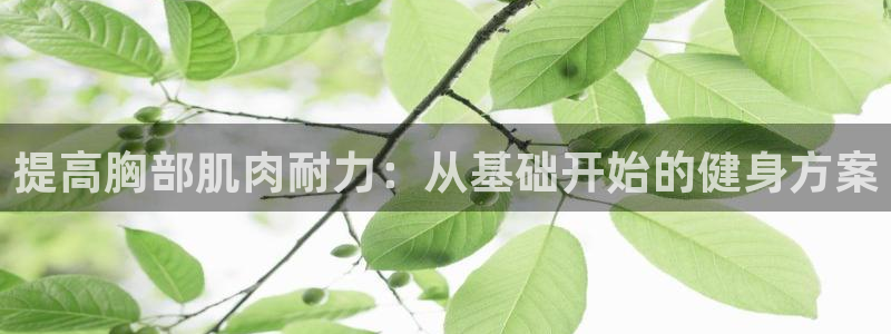 三亿体育网：提高胸部肌肉耐力：从基础开始的健身方案