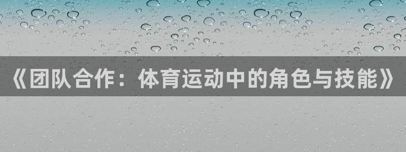 三亿体育：《团队合作：体育运动中的角色与技能》