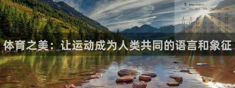 三亿体育网页版