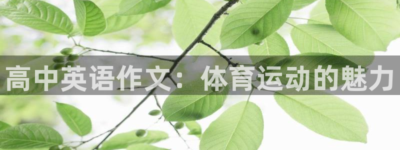 三亿体育网页版