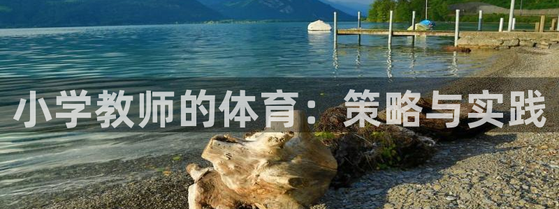 三亿体育网页版：小学教师的体育：策略与实践